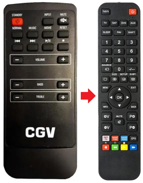 BDS-FORTE CGV afstandsbediening - productfoto