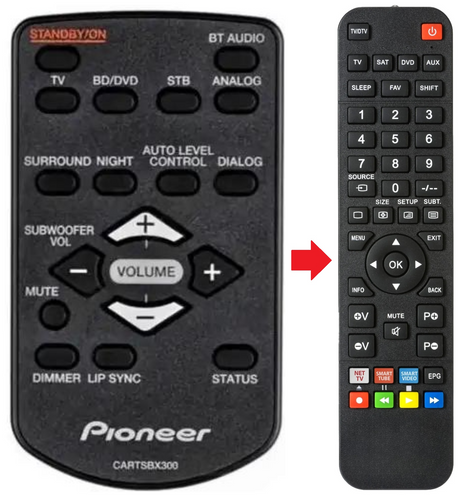 CARTSBX300 PIONEER afstandsbediening - productfoto