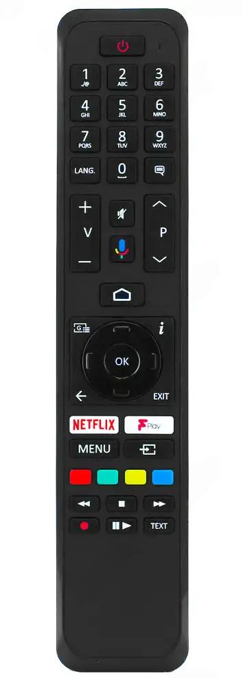 RC43161 PANASONIC afstandsbediening